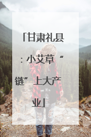 甘肃礼县：小艾草“链”上大产业