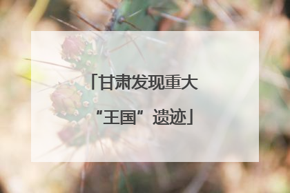 甘肃发现重大“王国”遗迹