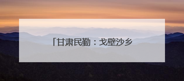 甘肃民勤：戈壁沙乡孕育“甘味”领头羊