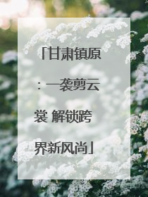甘肃镇原：一袭剪云裳 解锁跨界新风尚