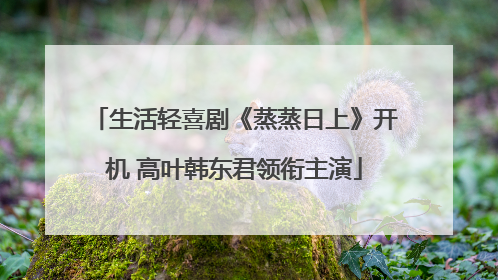 生活轻喜剧《蒸蒸日上》开机 高叶韩东君领衔主演