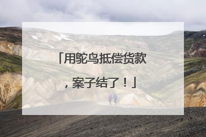 用鸵鸟抵偿货款，案子结了！