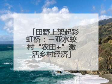 田野上架起彩虹桥：三亚水蛟村“农田+”激活乡村经济