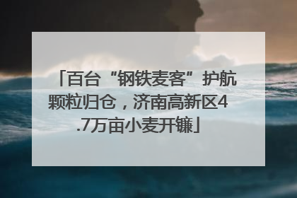百台“钢铁麦客”护航颗粒归仓，济南高新区4.7万亩小麦开镰