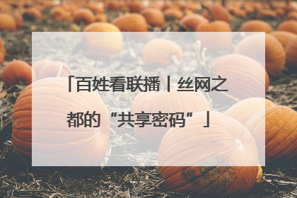 百姓看联播丨丝网之都的“共享密码”