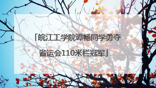 皖江工学院谭畅同学勇夺省运会110米栏冠军