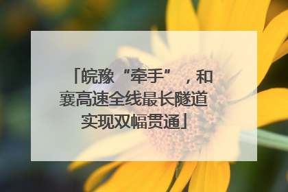 皖豫“牵手”，和襄高速全线最长隧道实现双幅贯通