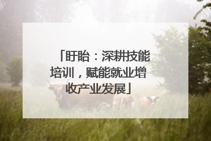 盱眙：深耕技能培训，赋能就业增收产业发展