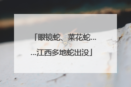 眼镜蛇、菜花蛇……江西多地蛇出没