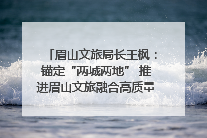 眉山文旅局长王枫：锚定“两城两地” 推进眉山文旅融合高质量发展｜文旅局长说