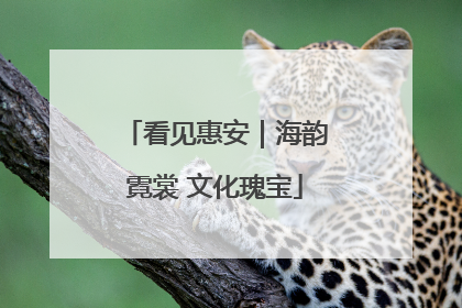 看见惠安｜海韵霓裳 文化瑰宝