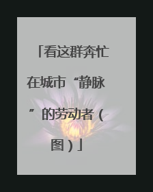 看这群奔忙在城市“静脉”的劳动者（图）