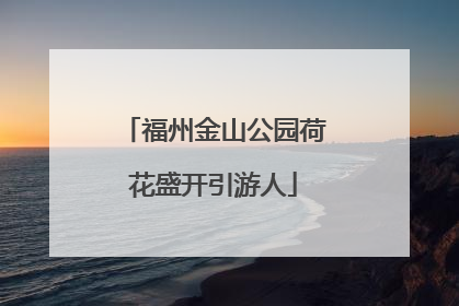 福州金山公园荷花盛开引游人