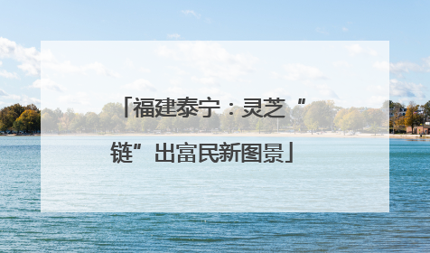福建泰宁：灵芝“链”出富民新图景
