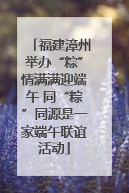 福建漳州举办“粽”情满满迎端午 同“粽”同源是一家端午联谊活动