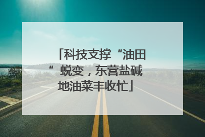科技支撑“油田”蜕变，东营盐碱地油菜丰收忙