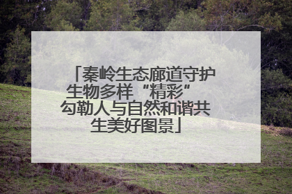 秦岭生态廊道守护生物多样“精彩” 勾勒人与自然和谐共生美好图景