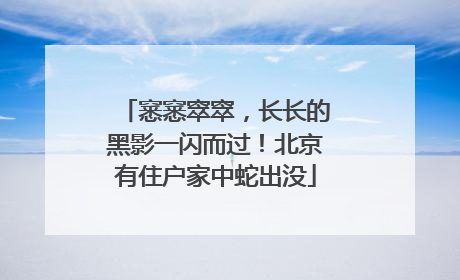 窸窸窣窣，长长的黑影一闪而过！北京有住户家中蛇出没