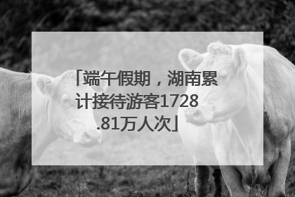 端午假期，湖南累计接待游客1728.81万人次