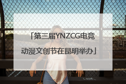 第三届YNZCG电竞动漫文创节在昆明举办