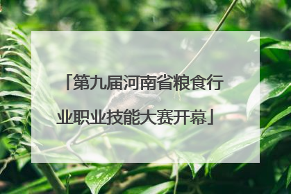 第九届河南省粮食行业职业技能大赛开幕