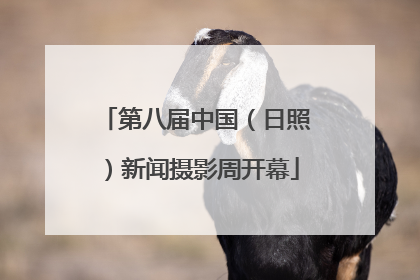 第八届中国（日照）新闻摄影周开幕