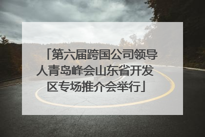 第六届跨国公司领导人青岛峰会山东省开发区专场推介会举行