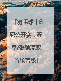 羽毛球｜印尼公开赛：程星/张驰混双首轮晋级