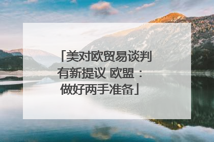 美对欧贸易谈判有新提议 欧盟：做好两手准备