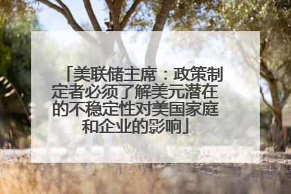 美联储主席：政策制定者必须了解美元潜在的不稳定性对美国家庭和企业的影响