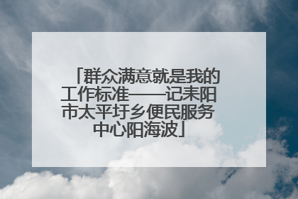 群众满意就是我的工作标准——记耒阳市太平圩乡便民服务中心阳海波