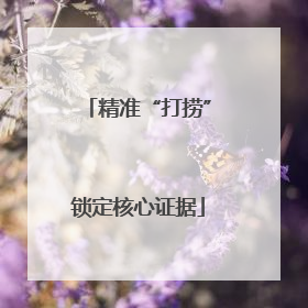 精准“打捞”锁定核心证据