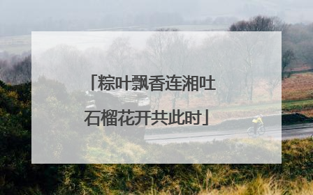 粽叶飘香连湘吐 石榴花开共此时