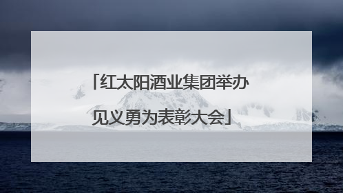 红太阳酒业集团举办见义勇为表彰大会