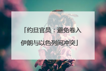 约旦官员：避免卷入伊朗与以色列间冲突