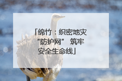 绵竹：织密地灾“防护网” 筑牢安全生命线
