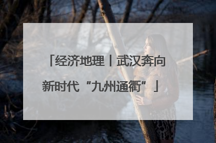 经济地理丨武汉奔向新时代“九州通衢”