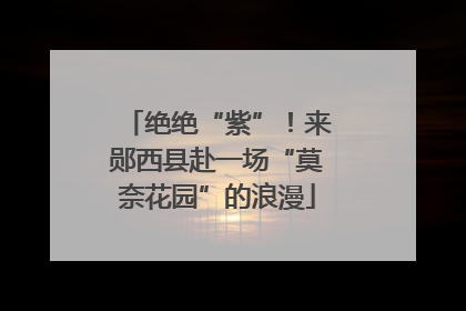 绝绝“紫”！来郧西县赴一场“莫奈花园”的浪漫