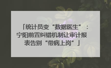 统计员变“数据医生”：宁阳前置纠错机制让审计报表告别“带病上岗”