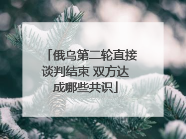 俄乌第二轮直接谈判结束 双方达成哪些共识