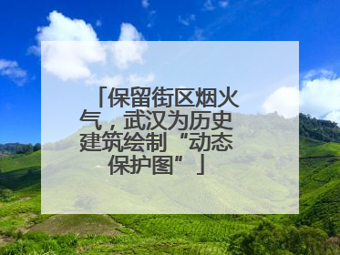 保留街区烟火气，武汉为历史建筑绘制“动态保护图”