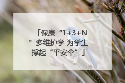 保康“1+3+N”多维护学 为学生撑起“平安伞”
