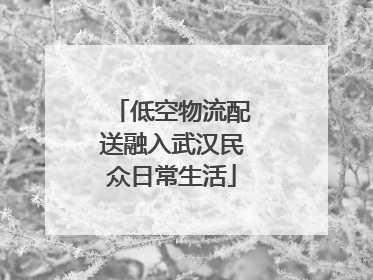 低空物流配送融入武汉民众日常生活