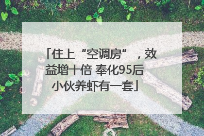 住上“空调房”，效益增十倍 奉化95后小伙养虾有一套