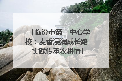 临汾市第一中心学校：麦香浸润成长路 实践传承农耕情