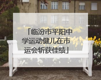 临汾市平阳中学运动健儿在市运会斩获佳绩