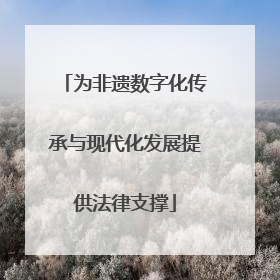 为非遗数字化传承与现代化发展提供法律支撑