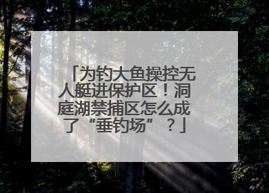 为钓大鱼操控无人艇进保护区！洞庭湖禁捕区怎么成了“垂钓场”？