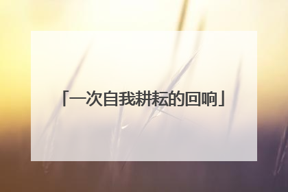 一次自我耕耘的回响
