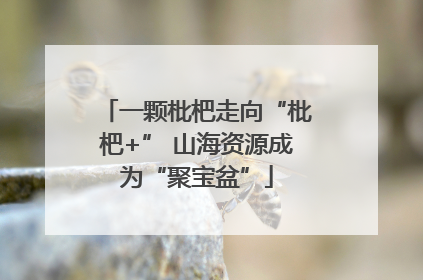 一颗枇杷走向“枇杷+” 山海资源成为“聚宝盆”